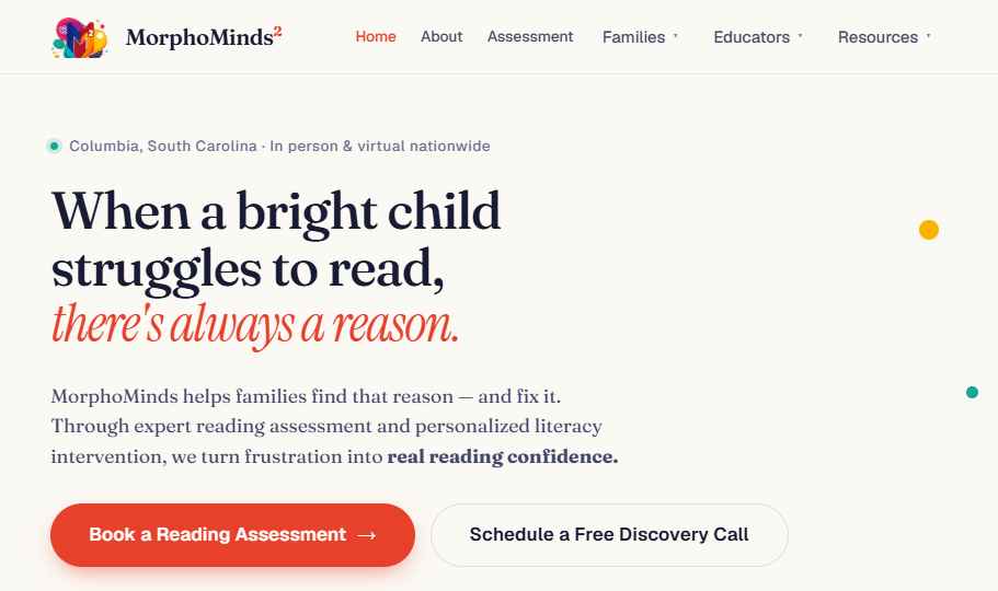MorphoMinds website home page